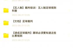 爱游戏官方网站入口-争议裁判成为焦点，足球界呼吁提高职业素养的简单介绍