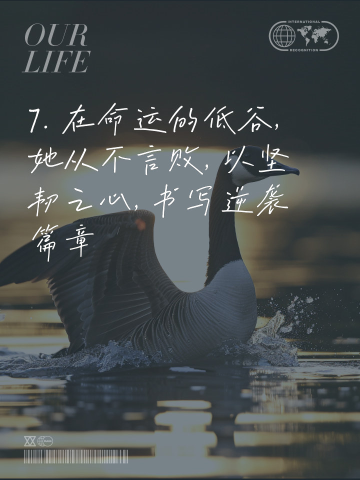 逆袭之路，充满荆棘和磨难，但永不放弃的信念驱使前行